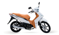 RIO 125 EFI